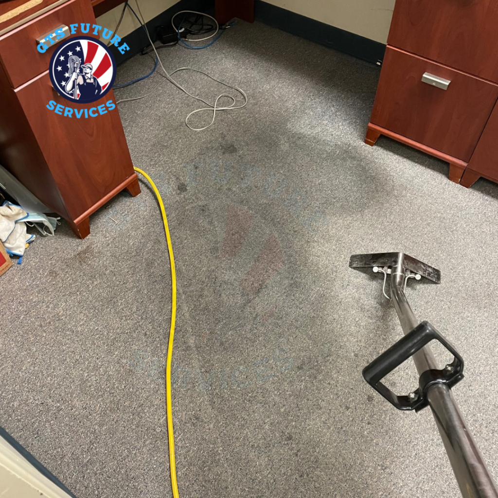 Area Rug Cleaning Near Me