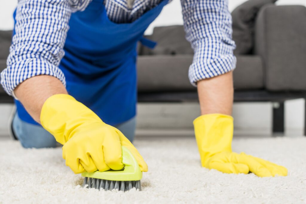 Residential Carpet Cleaning Los Angeles